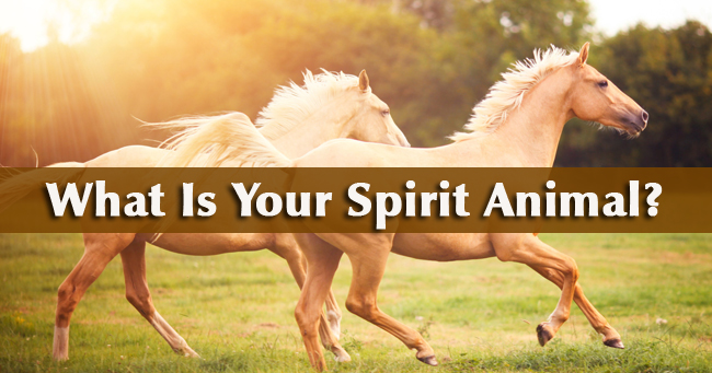What Is Your Spirit Animal?